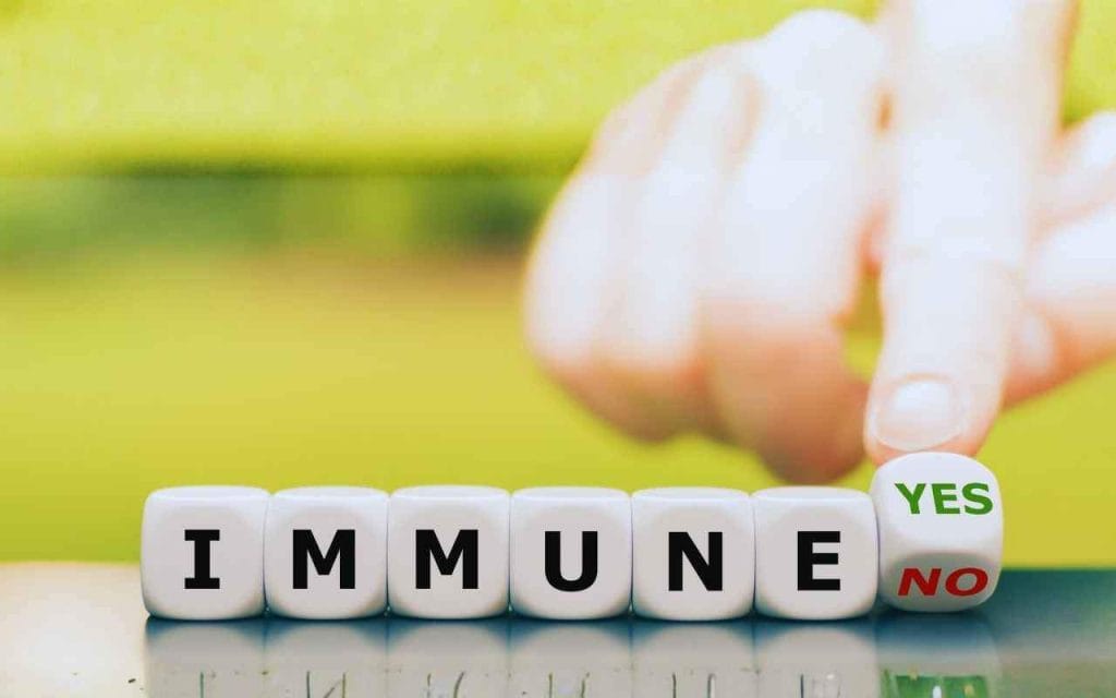 Top 5 melhores vitaminas que aumentam a imunidade em 2026 